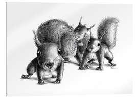 Gallery print Three squirrels