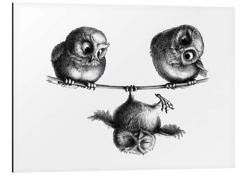 Aluminium print Three owls