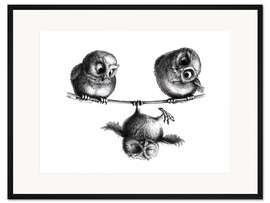 Gerahmter Kunstdruck Drei Eulen - Hochseilakt - Stefan Kahlhammer