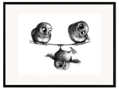 Framed art print Three owls