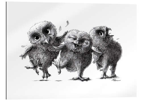 Gallery print Three crazy owls