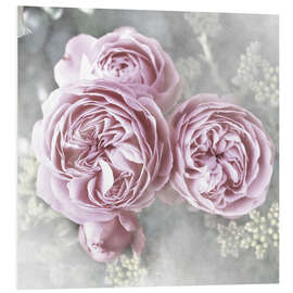 Foam board print Roses in shabby style