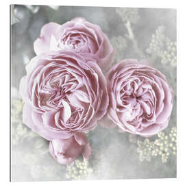 Gallery Print Rosen Landhaus/Shabby