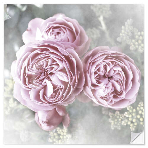 Sticker mural Roses de style shabby