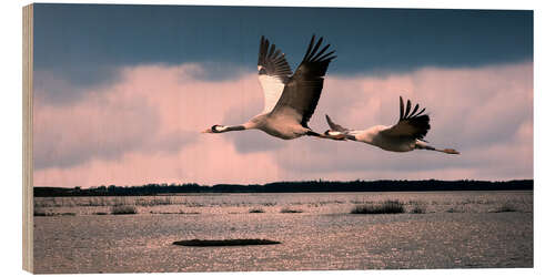 Wood print Sweden - cranes at Lake Hornborga