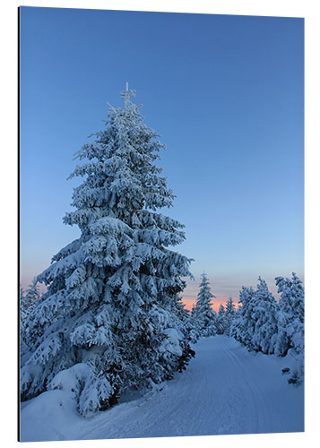 Tableau en aluminium Paysage hivernal