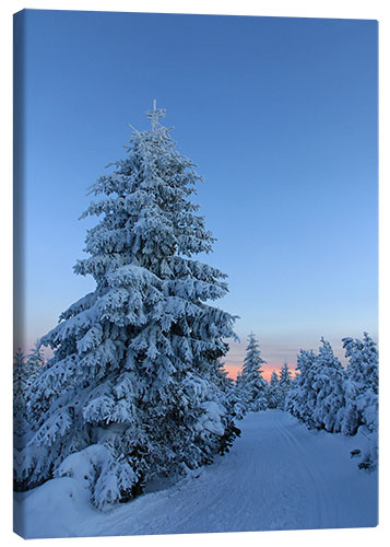 Canvas print winter