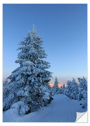 Naklejka na ścianę winter