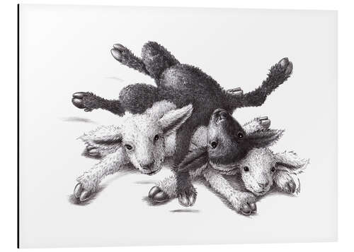 Aluminium print Three Sheep - Ball Of Wood