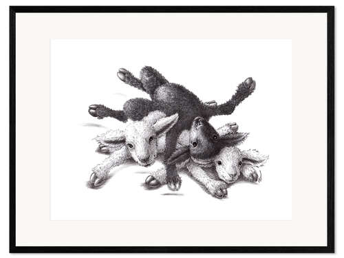 Framed art print Three Sheep - Ball Of Wood