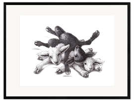 Framed art print Three Sheep - Ball Of Wood