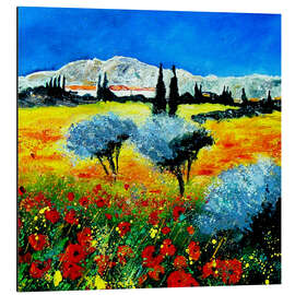 Alubild Landschaft der Provence