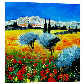 Foam board print Landscape of Provence