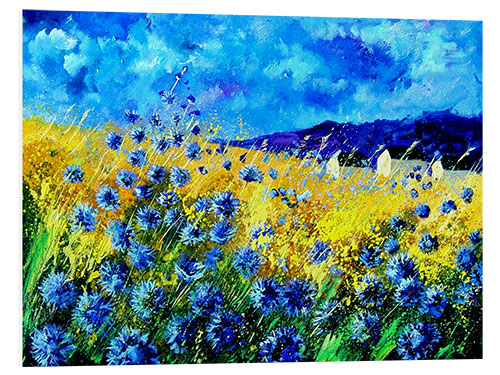 Foam board print Clouds over a field of cornflowers