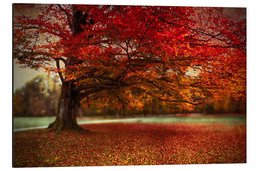 Alubild Feinster Herbst