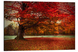 Aluminium print Finest autumn