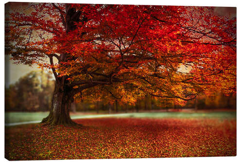 Lienzo El mejor otoño