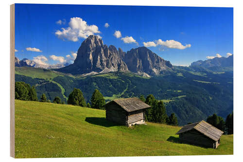 Stampa su legno Dolomites