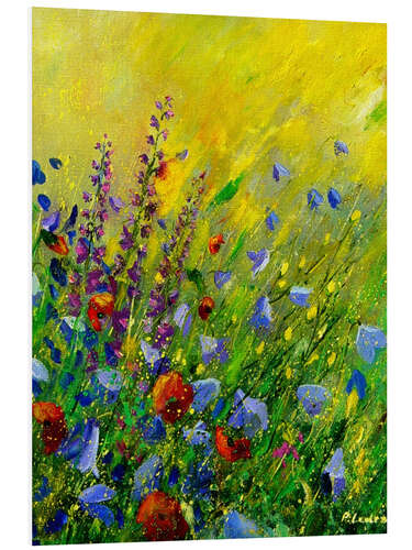 Foam board print Bright flower meadow