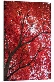 Magnettafel Feuerrot