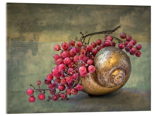 Acrylic print the golden snail