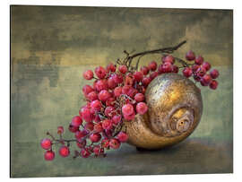 Magnettafel die goldene Schnecke