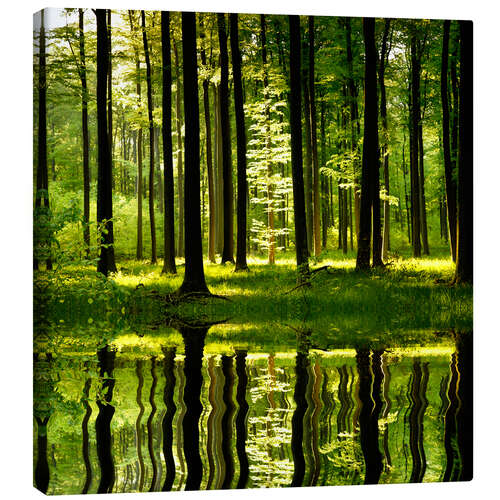 Quadro em tela Waldsee