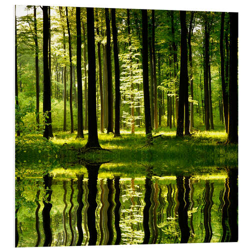 Tableau en PVC Lac en forêt 