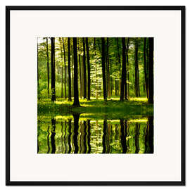 Gerahmter Kunstdruck Waldsee