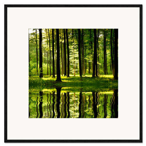 Innrammet kunsttrykk Waldsee