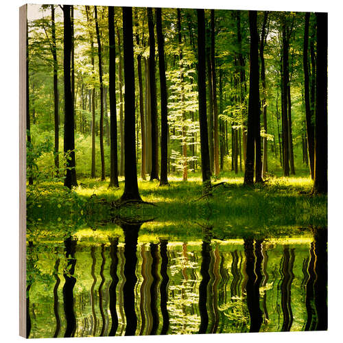 Wood print Waldsee