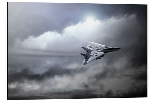 Aluminium print Top Gun