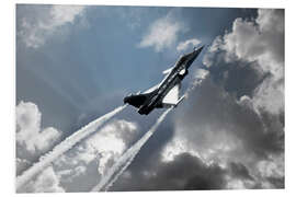 Foam board print Rafale