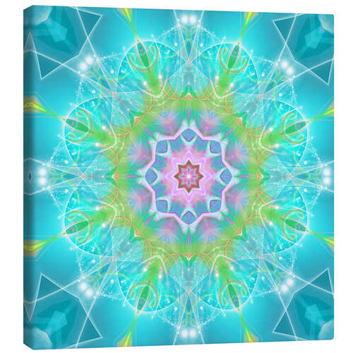 Canvas print Mandala - Dolphin Joy