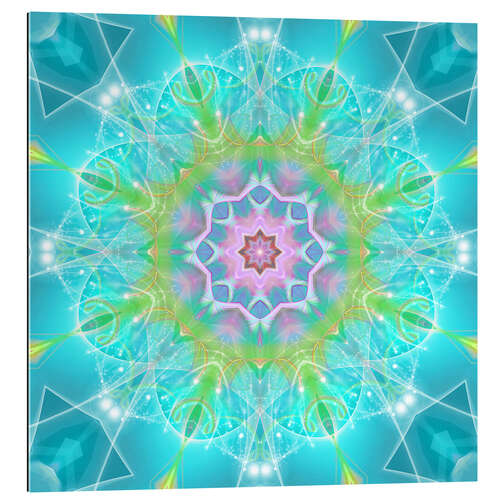 Gallery print Mandala - Dolphin Joy