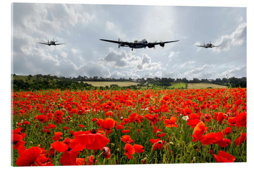 Akryylilasitaulu Poppy Flypast