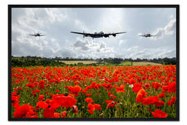 Gerahmter Kunstdruck Poppy Flypast