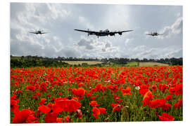 Foam board print Poppy Flypast