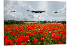 Gallery Print Poppy Flypast