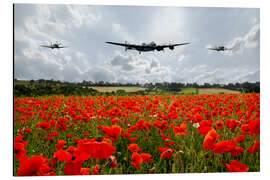 Magnettafel Poppy Flypast