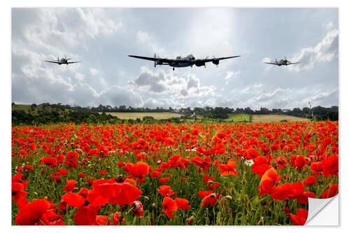 Sticker mural Avions volant au-dessus d'un champ de coquelicots