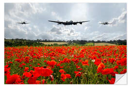 Sisustustarra Poppy Flypast