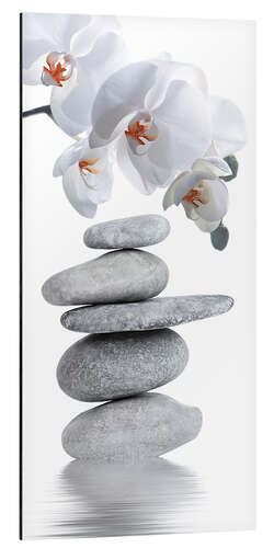 Quadro em alumínio Wellness, Orchid and Stones