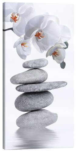 Canvas print Wellness, Orchid and Stones