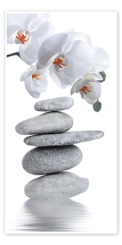 Póster Wellness, Orchid and Stones