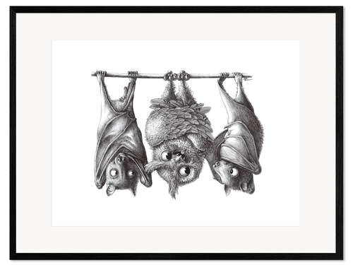 Framed art print Vampire - Owl and Two Bats