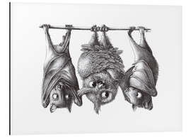 Magnettafel Vampir-Eule und zwei Flughunde