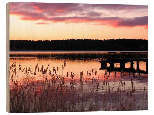 Holzbild Waren Müritz Mecklenburg Vorpommern