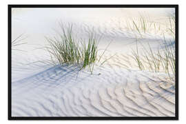 Gerahmter Kunstdruck Dünengräser im Sand