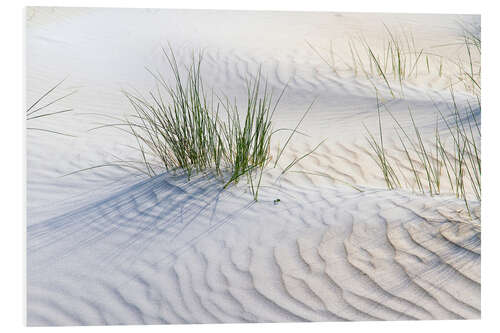 Tableau en PVC Herbes dans les dunes